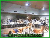 hot babes jelly wrestling