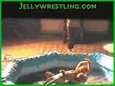 hot babes jelly wrestling